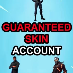 Fortnite Full Access Accounts with Guaranteed Skin