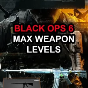 Call of Duty Black Ops 6 (BO6): Max Weapon Level Service