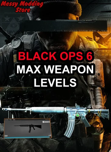 Call of Duty Black Ops 6 (BO6): Max Weapon Level Service